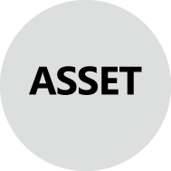 ASSET ICON