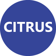 citrus icon