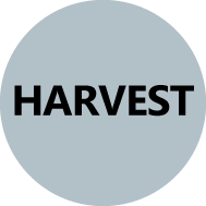 harvest icon