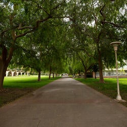 pathway