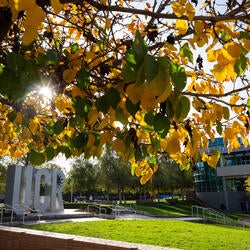 fall