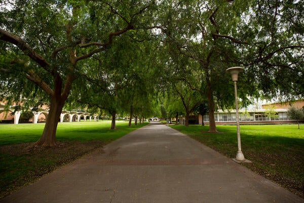 ucr path